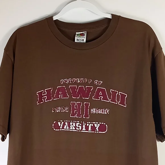 Hawaii Variety Distressed Brown Tshirt Size L - Picture 5 of 12